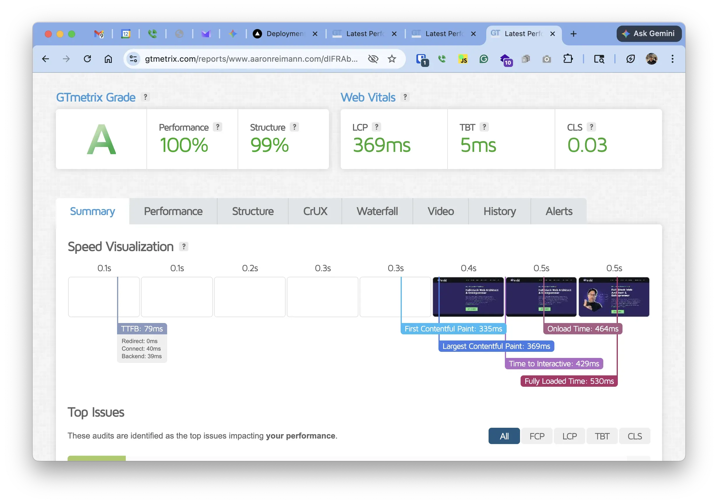 GTMetrix Score showing 100% Performance